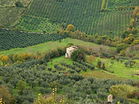 Farm holidays Lazio