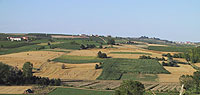 Farm holidays Piedmont