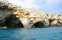 Farm holidays Apulia