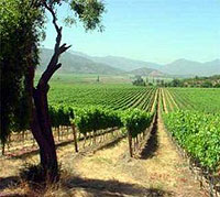 Farm holidays Emilia Romagna