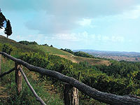 Farm holidays Friuli Venezia Giulia