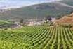 Agriturismo Tarantola