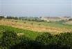 Agriturismo La Quercia del Saggio