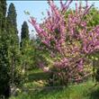 nei dintorni della villa