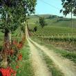 Agriturismo Agrimare Barba