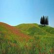 Paesaggio della Val d'Orcia
