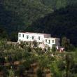 Uliveti e Agriturismo Colletta