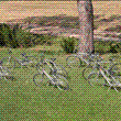 Le biciclette in uso gratuito