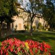 Agriturismo Il Gelso