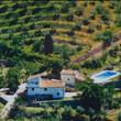 Aerea Agriturismo Montereggi