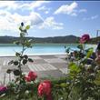 Piscina e Roseto