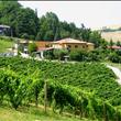 Panorama dell'azienda