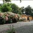 Vacanze in totale relax