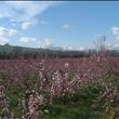 Agriturismo Agrimare Barba