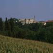 Agriturismo Orlandi