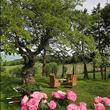Agriturismo La Tenuta dei Ricordi