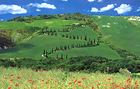 Farm holidays Tuscany