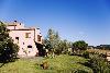 New Year Holiday in Maremma to taste delicious food 