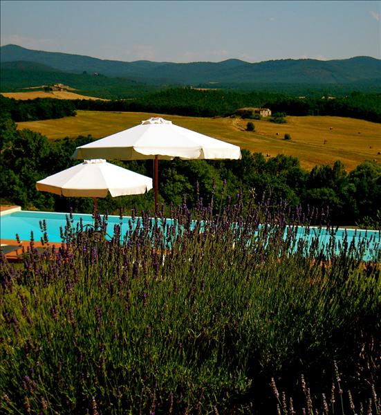 SPECIAL OFFERT JUNE IN TUSCANY