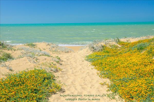 spiaggia fiorita in marzo a TORRE SALSA: Agrigento